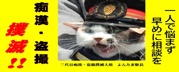 痴漢・盗撮撲滅‼