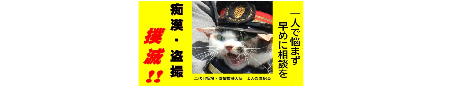 痴漢・盗撮撲滅‼